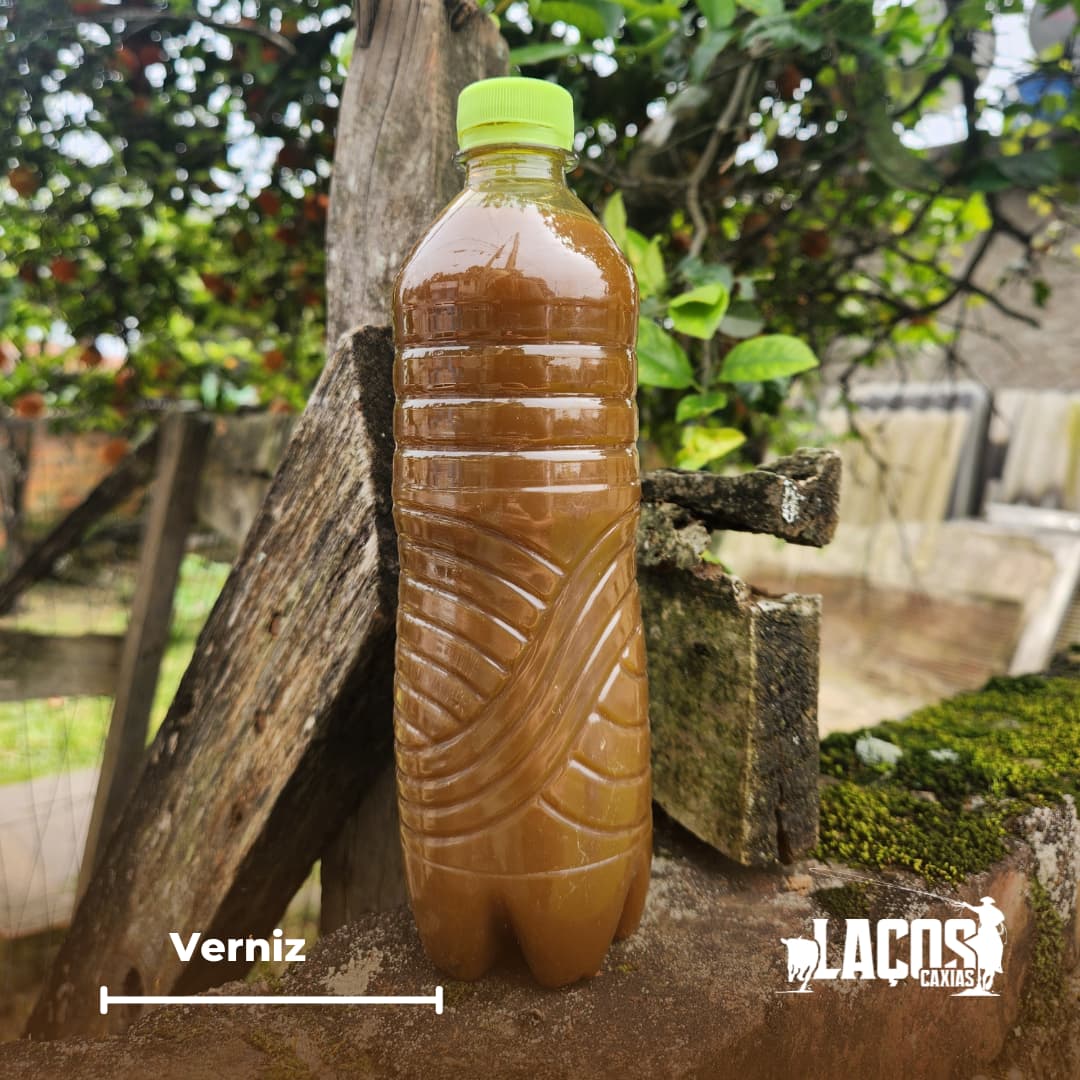 Verniz